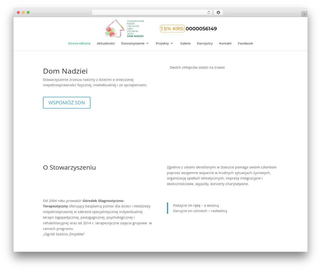 Divi theme WordPress - domnadziei.org
