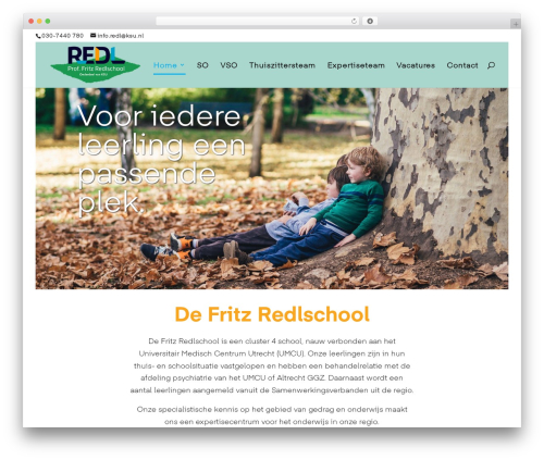Divi WordPress theme - redl.nl