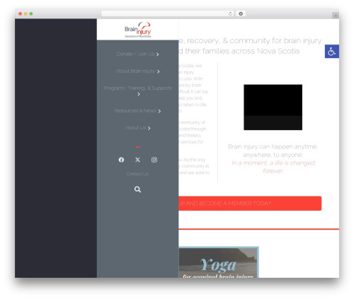Tab Ultimate (tabs-pro) free WordPress plugin - braininjuryns.com