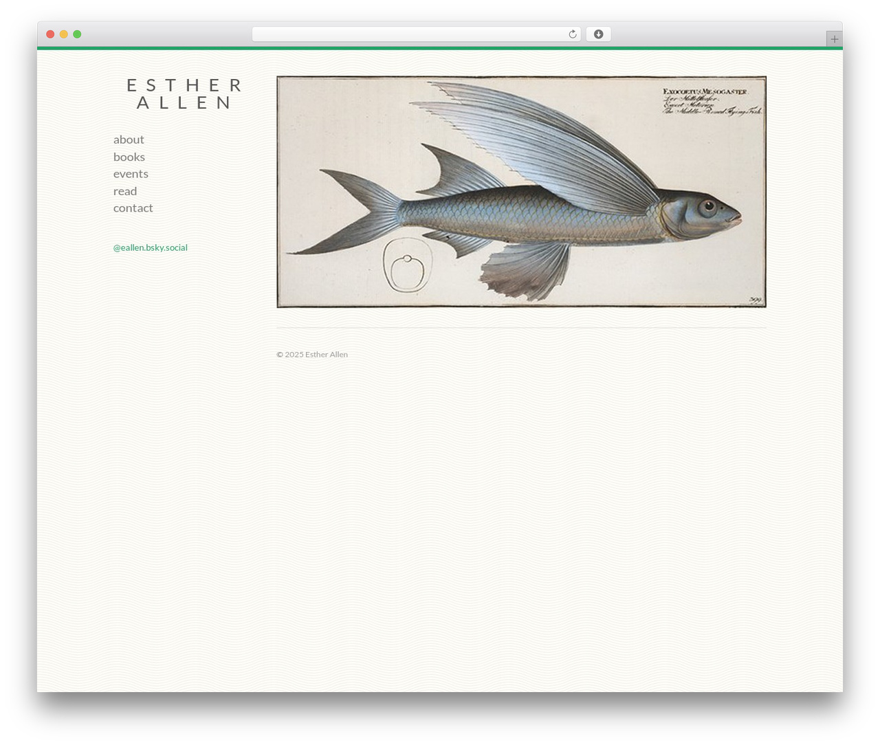 Infinity WordPress theme - estherallen.com