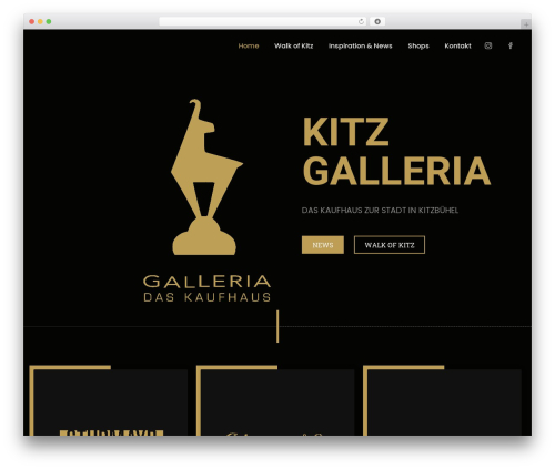 Leverage WP theme - kitz-galleria.at