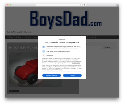 Amazon Product in a Post Plugin (amazon-product-in-a-post-plugin) free WordPress plugin - boysdad.com Amazon Product in a Post Plugin (amazon-product-in-a-post-plugin) free WordPress plugin - boysdad.com