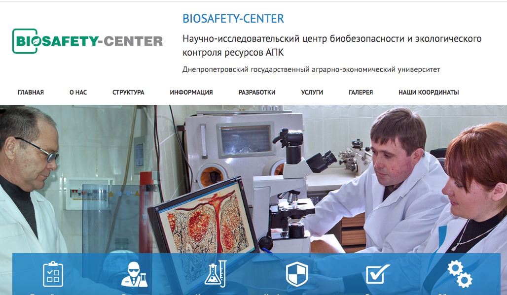 Theme WordPress BIO Theme