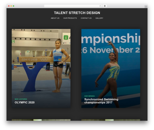 Best WordPress theme Caos - talentstretch.com