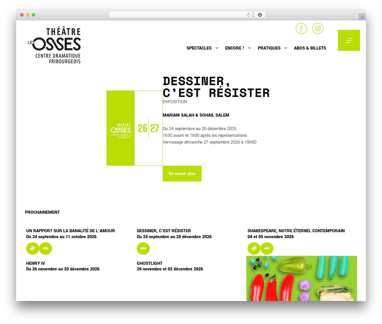 TDO WordPress theme - lesosses.ch
