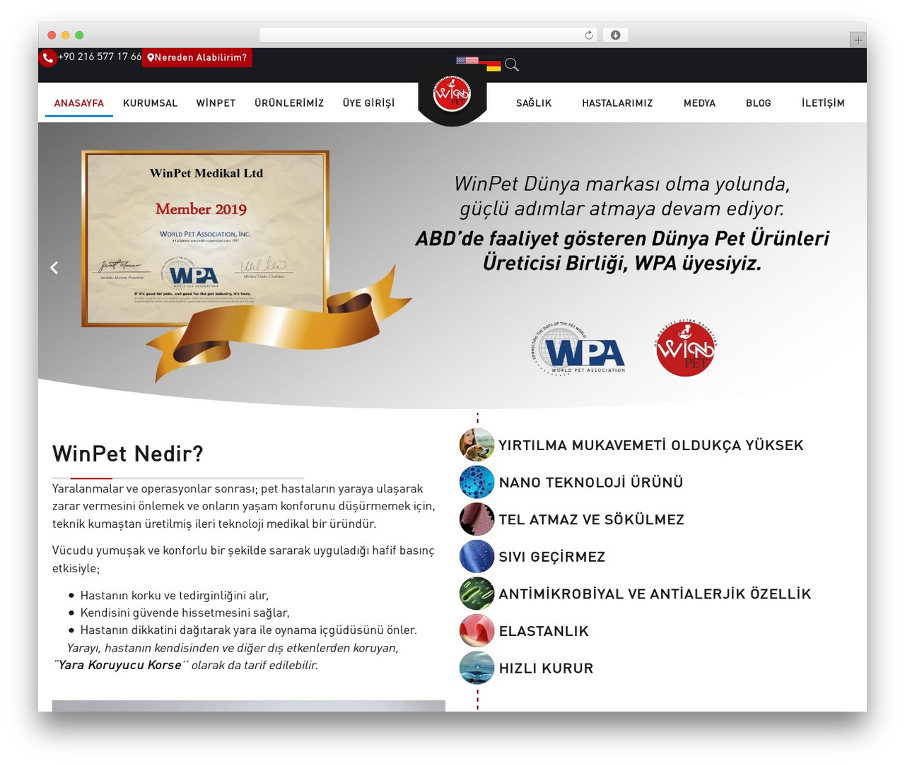 Hello Elementor WordPress theme design - winpet.com.tr