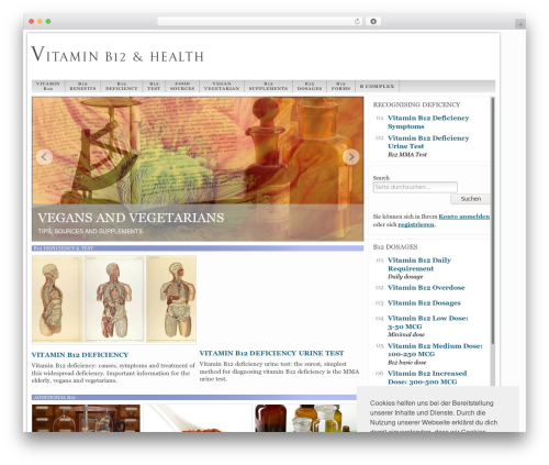 Drsup admanager WordPress plugin - b12-vitamin.com