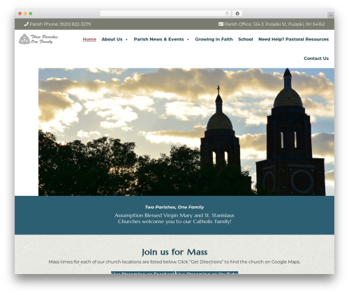 Premium Theme 2.0 WordPress theme - abvmcast.org