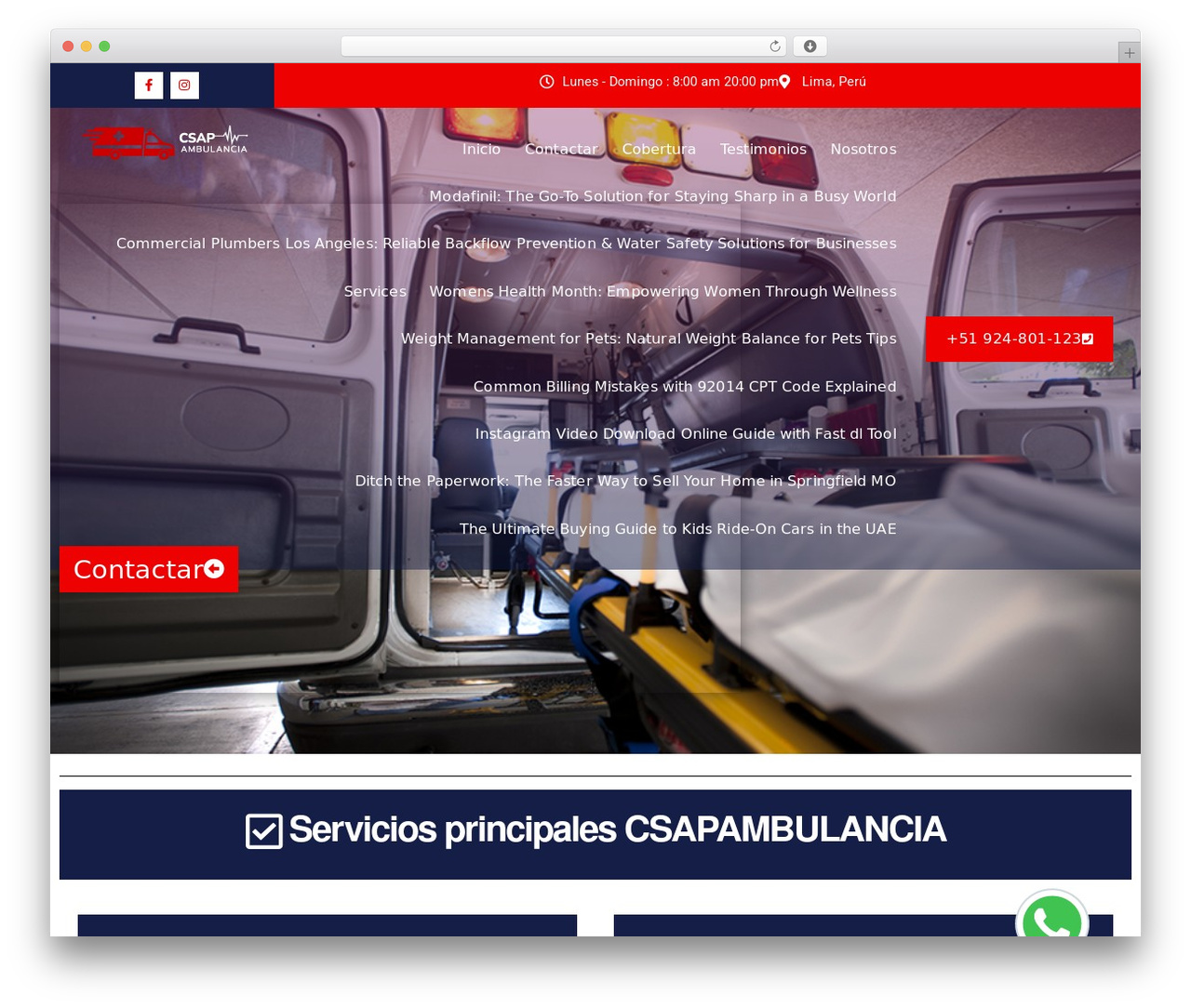 Theme WordPress Consult Element - sinadiccionesperu.pro