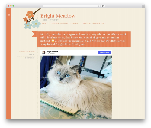 WordPress theme Fiore - brightmeadow.co.uk