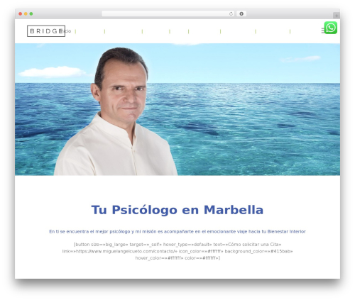 Revslider_disabled WordPress plugin - miguelangelcueto.com