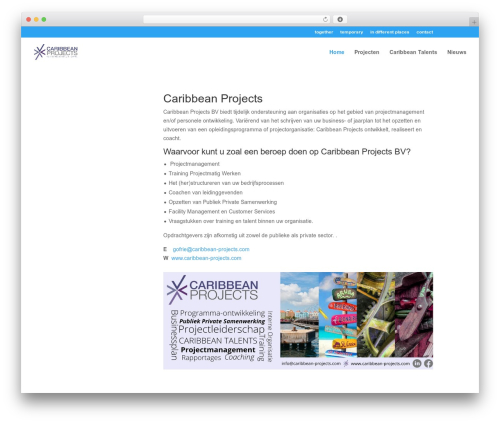 Divi WordPress theme - caribbean-projects.com