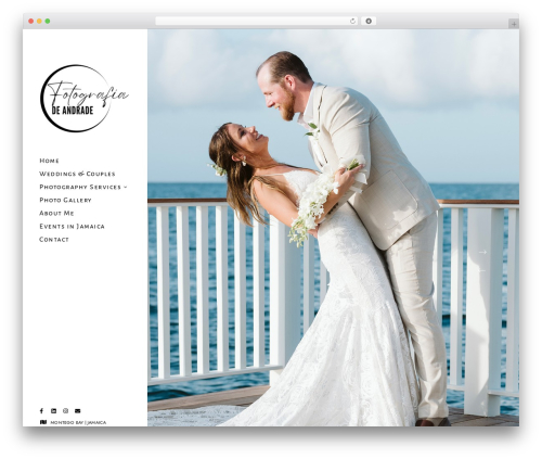 Imaginem blocks ii WordPress plugin - andradephotography.com