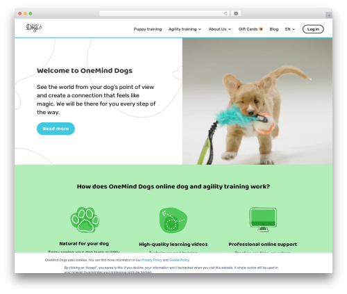 WordPress Countdown Widget (wordpress-countdown-widget) free WordPress plugin - oneminddogs.com WordPress Countdown Widget (wordpress-countdown-widget) free WordPress plugin - oneminddogs.com