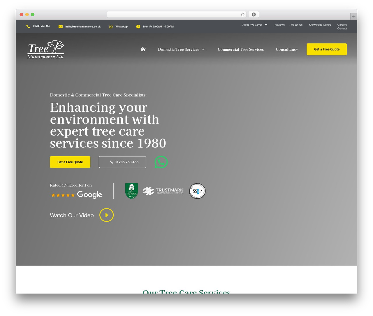 Theme WordPress Divi - treemaintenance.co.uk Theme WordPress Divi - treemaintenance.co.uk