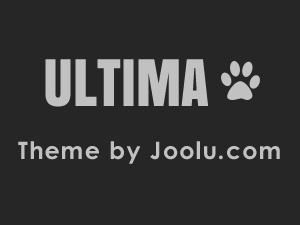 Ultima Wordpress Theme WP theme by Jonathan