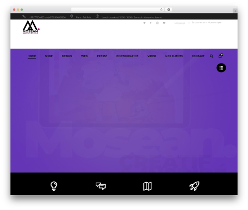 Aoki theme WordPress - mosean.co