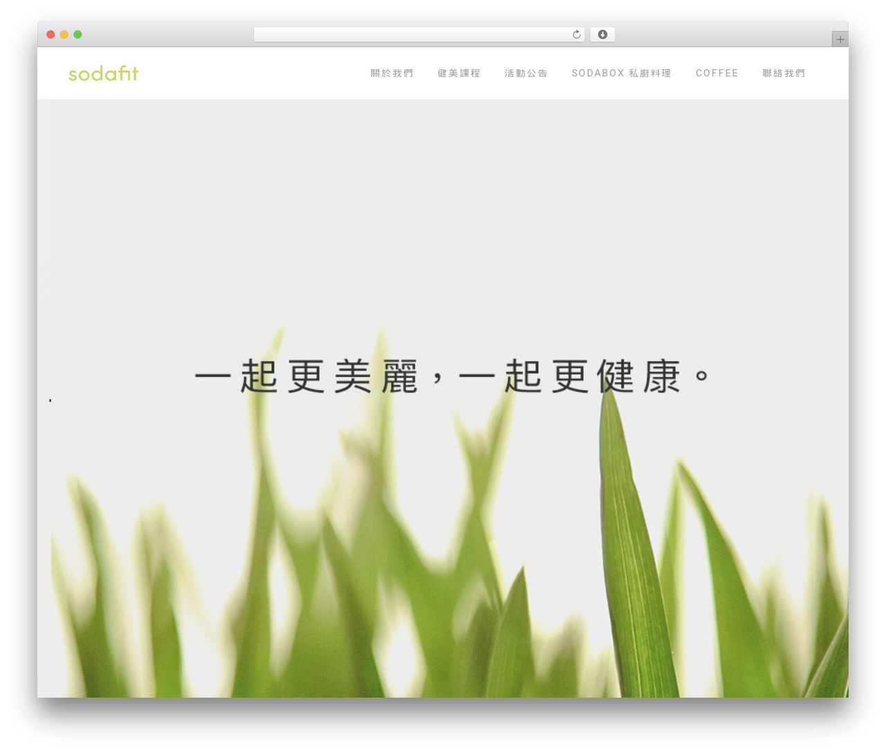 Bridge Child theme WordPress - sodafit.com Bridge Child theme WordPress - sodafit.com
