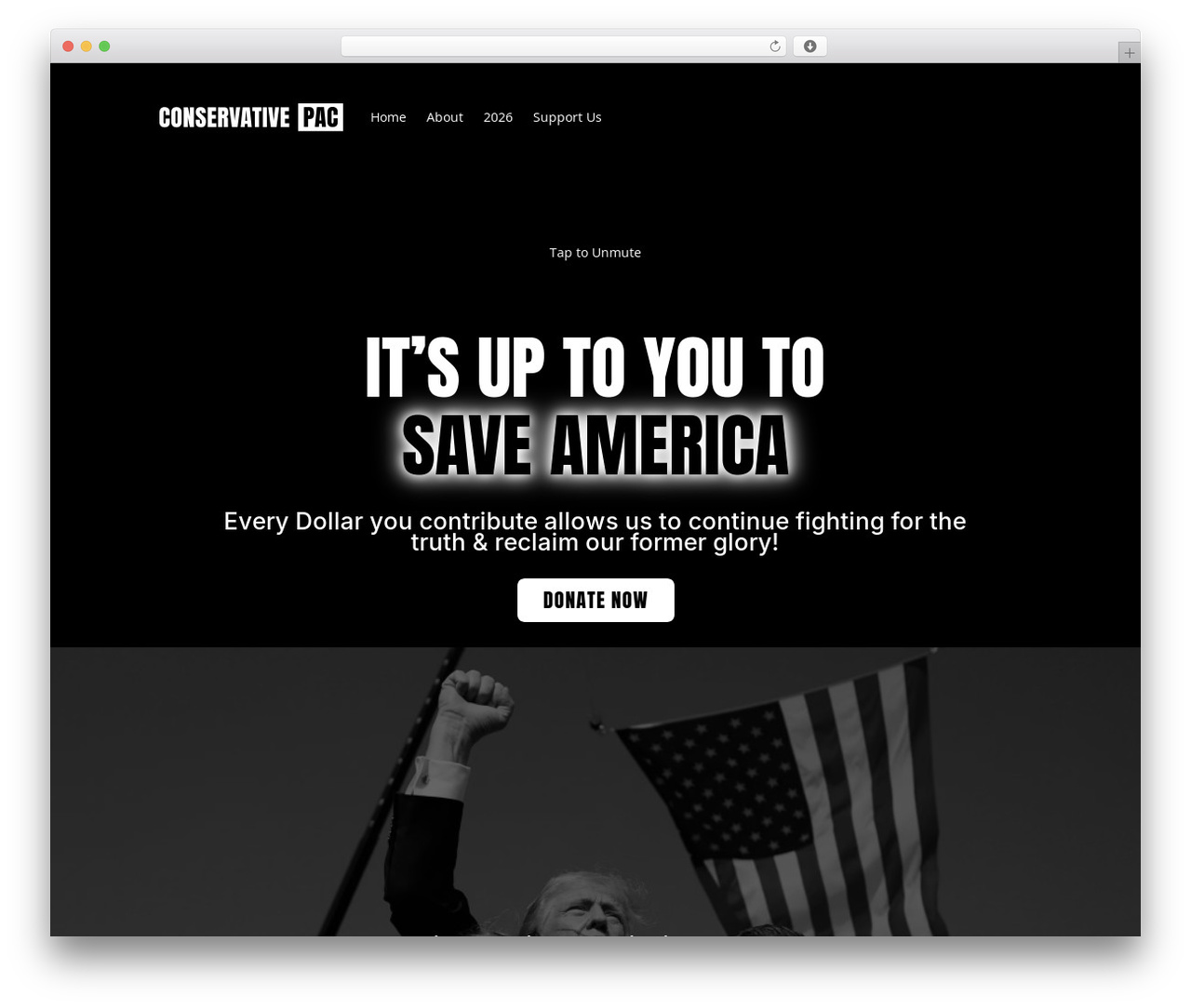 Divi WordPress theme - conservativepac.com