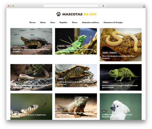 Wp post modules el WordPress plugin - mascotasdehoy.com