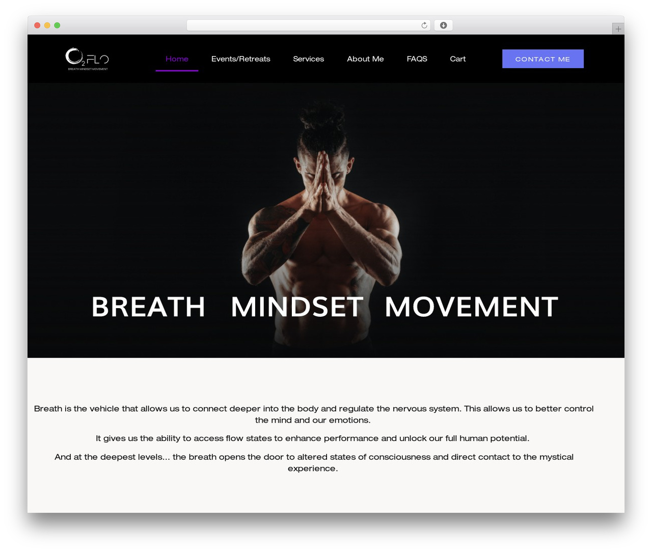 Hello Elementor WordPress page theme - o2flo.com