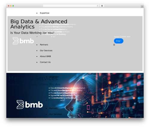 Prisma WP theme - bmbgroup.com
