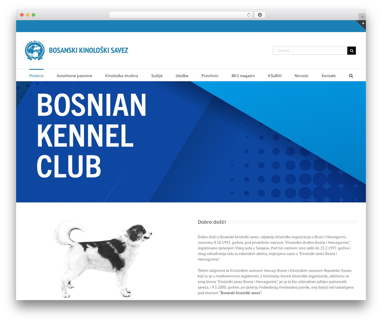 Theme WordPress Avada - bksavez.net