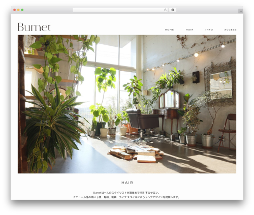 Theme WordPress Burnet - burnet-hair.com