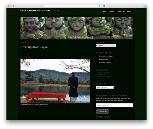 WordPress theme Modularity Lite - blog.carlyackermanphotography.com