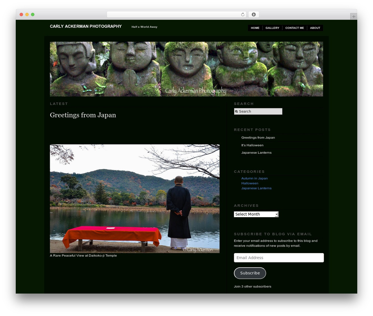 WordPress theme Modularity Lite - blog.carlyackermanphotography.com WordPress theme Modularity Lite - blog.carlyackermanphotography.com