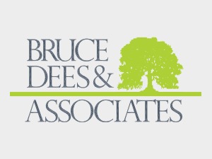 WordPress theme Bruce Dees WordPress theme Bruce Dees