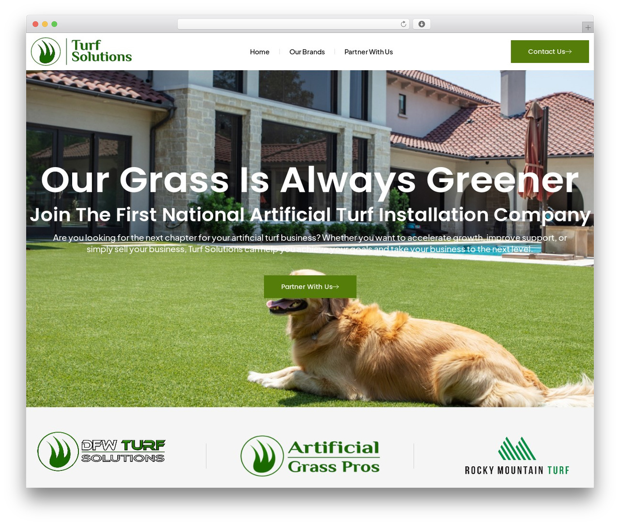WordPress theme Cryptical - turf-solutions.us WordPress theme Cryptical - turf-solutions.us