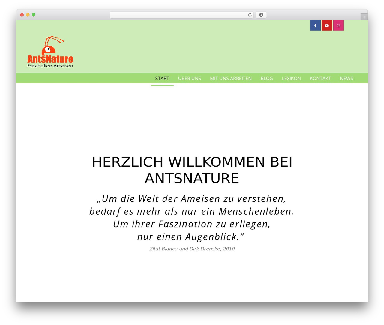 WP theme Page Builder Framework - antsnature.de WP theme Page Builder Framework - antsnature.de