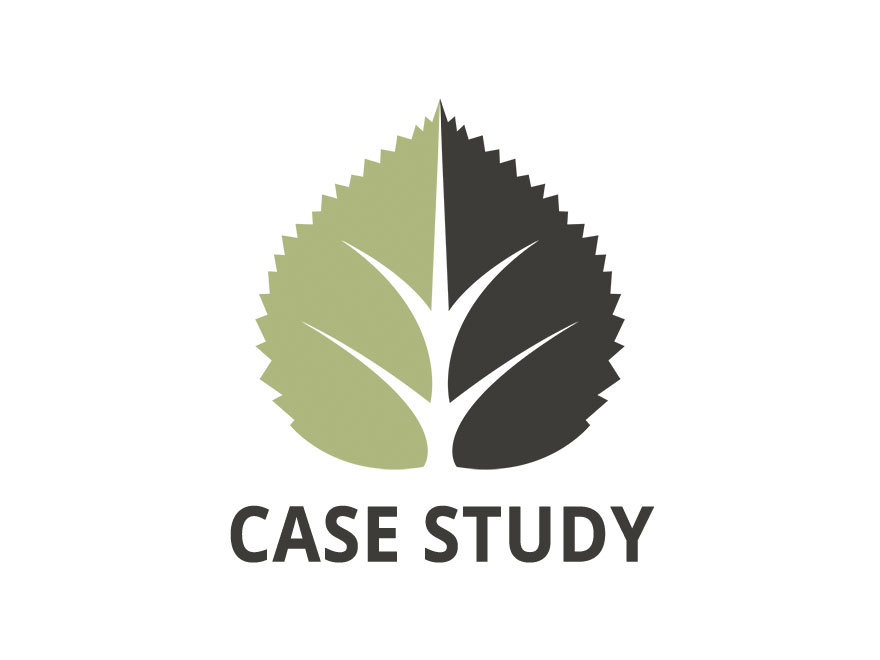 Case Study theme WordPress