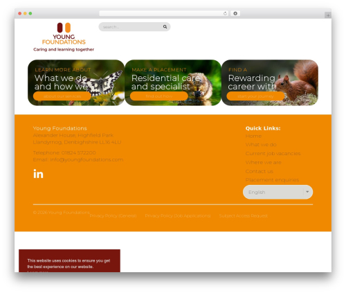 Theme WordPress Hello Elementor - youngfoundations.com