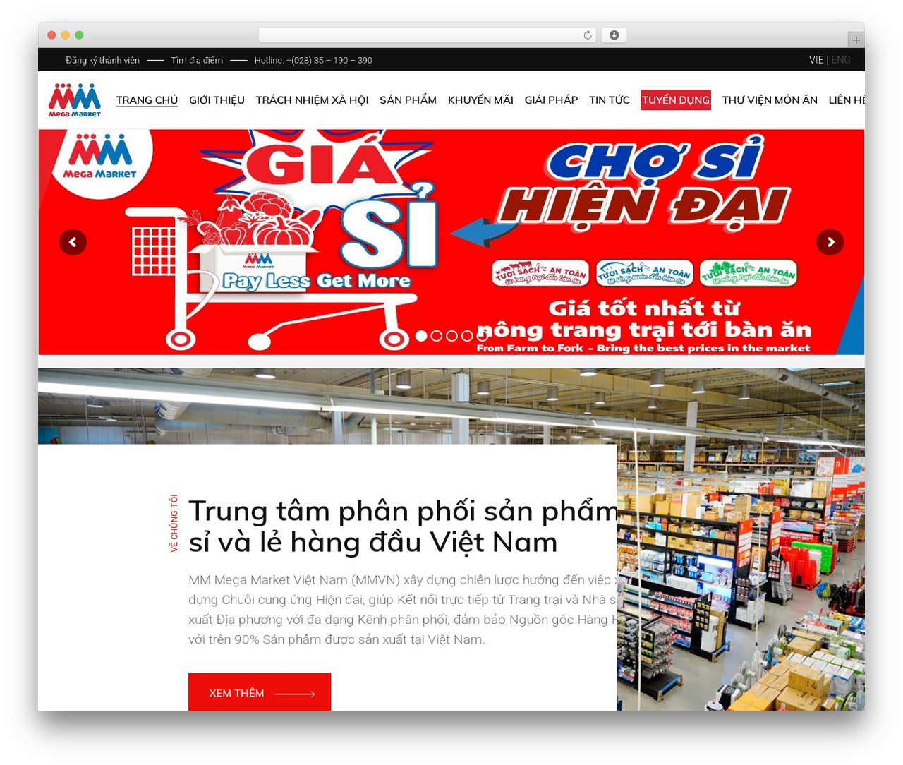 WordPress theme Stal - mmvietnam.com
