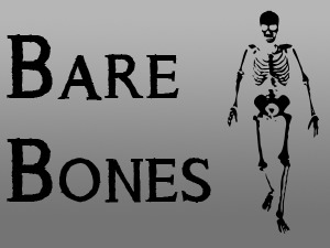 Bare Bones WP theme Bare Bones WP theme