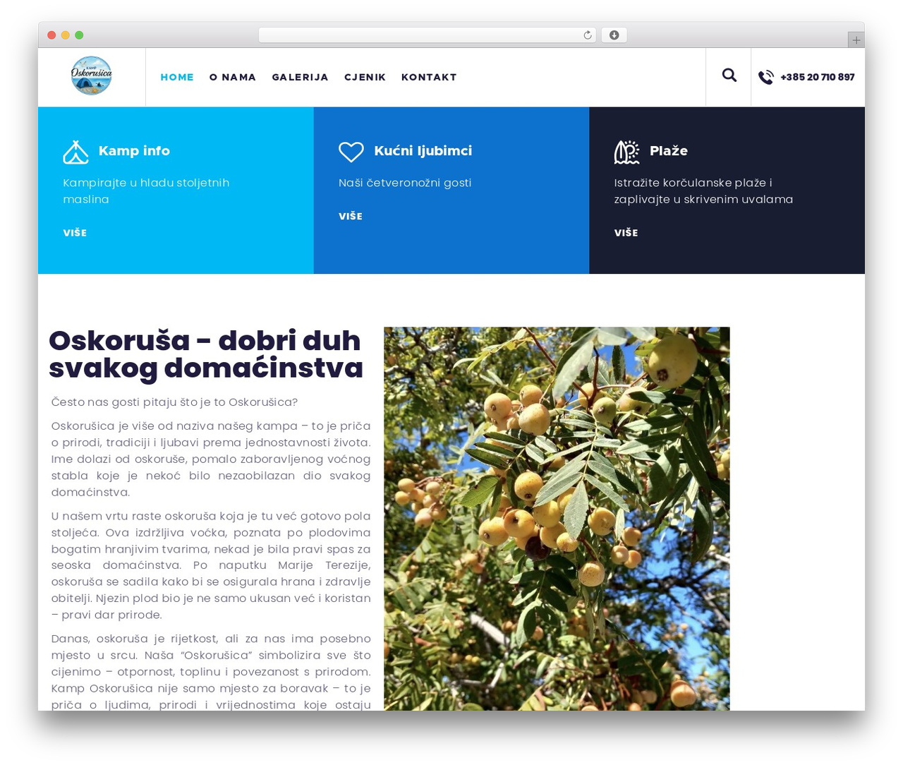 Briny theme WordPress - camposkorusica.com