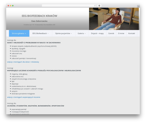Candidate best WordPress theme - biofeedback-eeg.pl