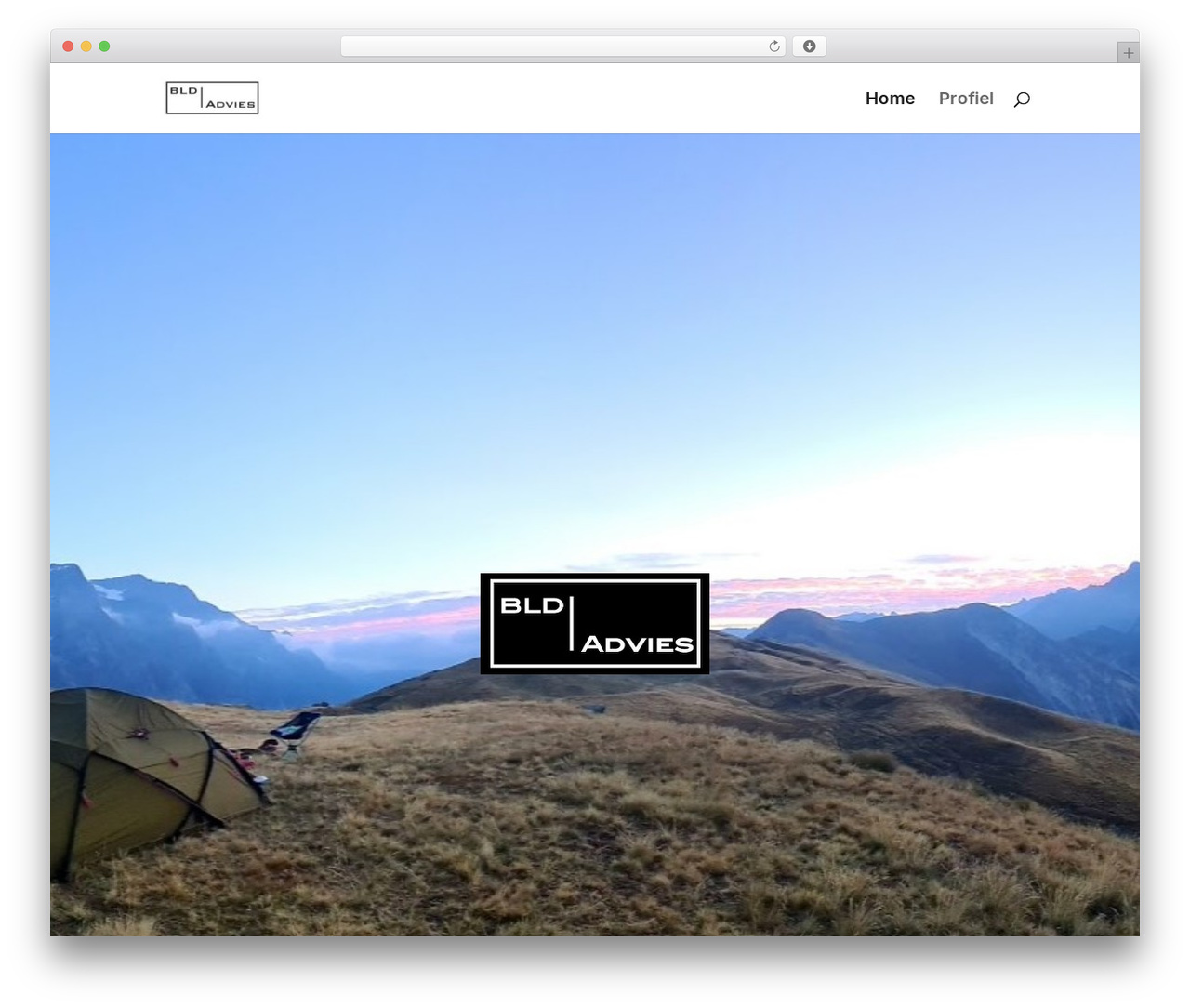 Divi WordPress theme - buld.nl