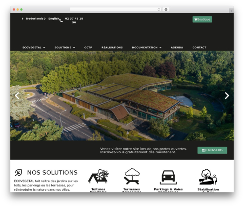 Hello Elementor theme WordPress - ecovegetal.com