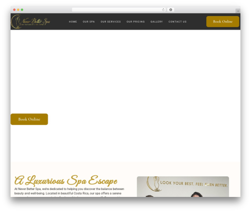 Latepoint custom fields WordPress plugin - neverbetterspacr.com