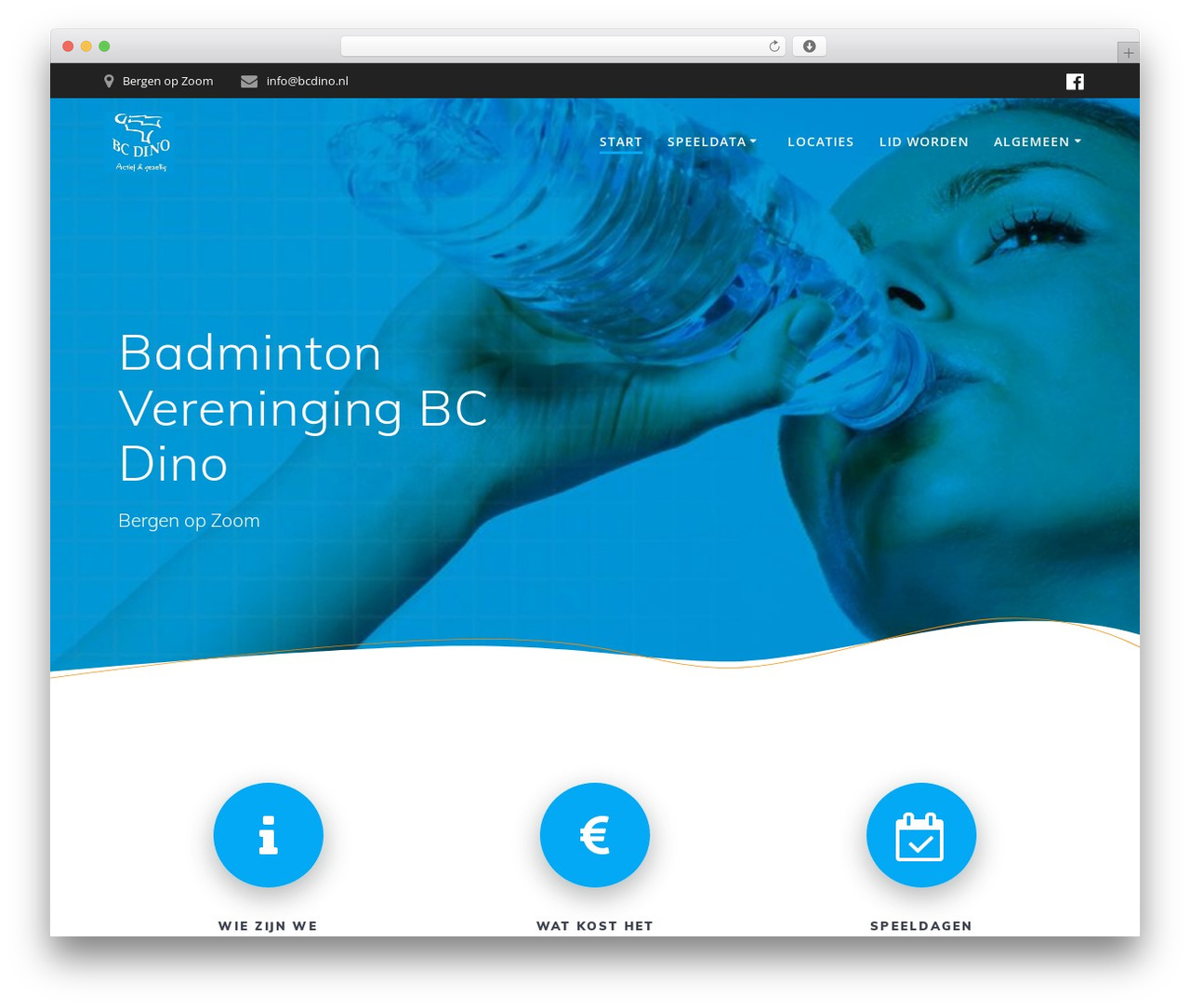 Mesmerize theme WordPress - bcdino.nl