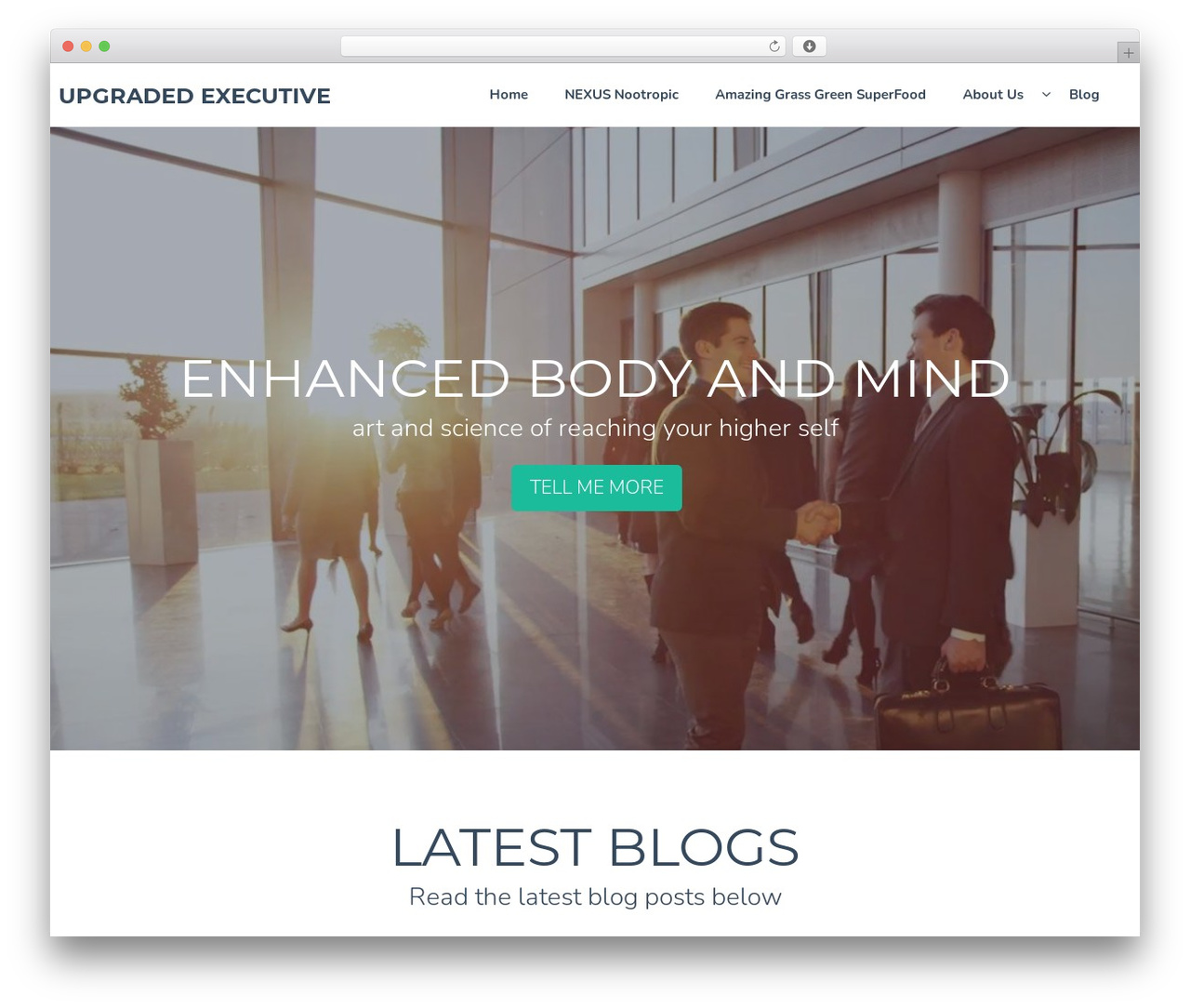 Start free WordPress theme - biohackedboss.com