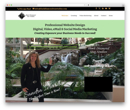 Theme WordPress Divi - blackdiamondstarstudios.com