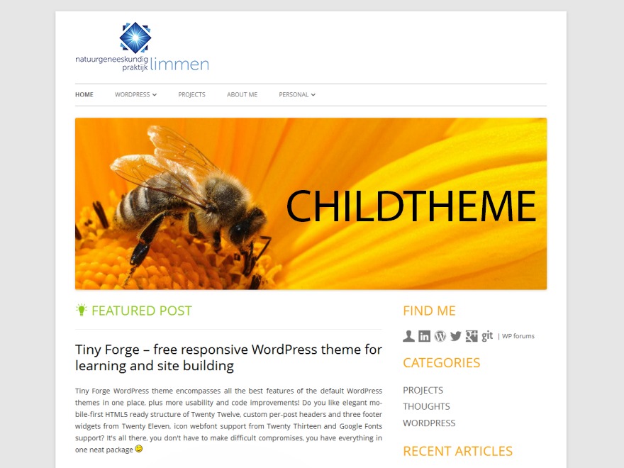 Theme WordPress Tiny Forge Childtheme