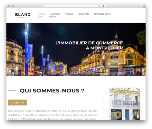 ViDi WP theme - blancimmobilier.com