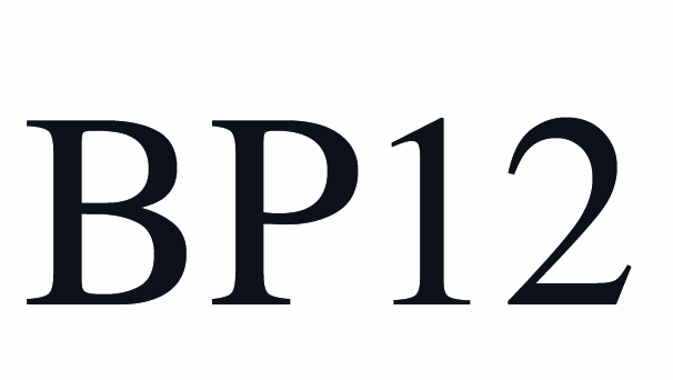 BP12 theme WordPress by Nicolas PROCUREUR