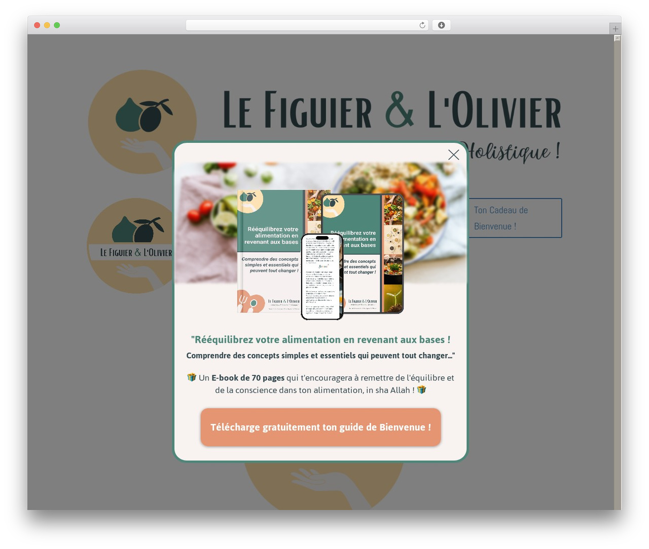 Divi theme WordPress - figuier-et-olivier.com