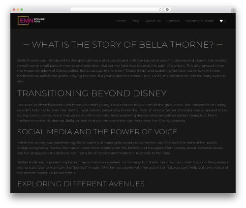 Modellic top WordPress theme - envymenow.com